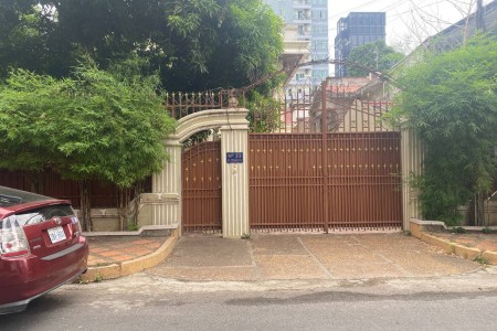 villa for rent in BKK1 area