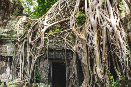 Siem Reap Real Estate